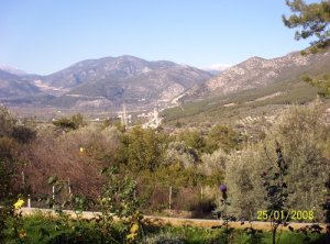 Uzumlu natuur